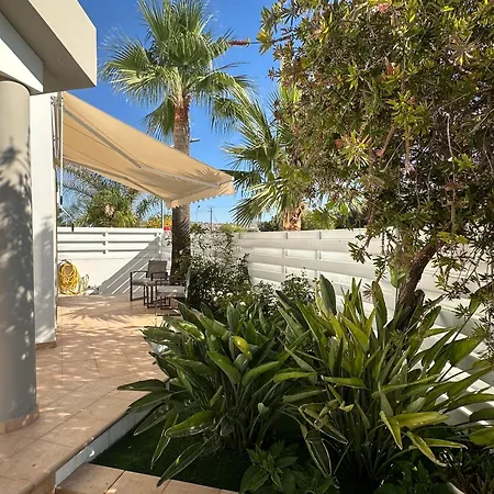 Andy-350 M From The * Ларнака